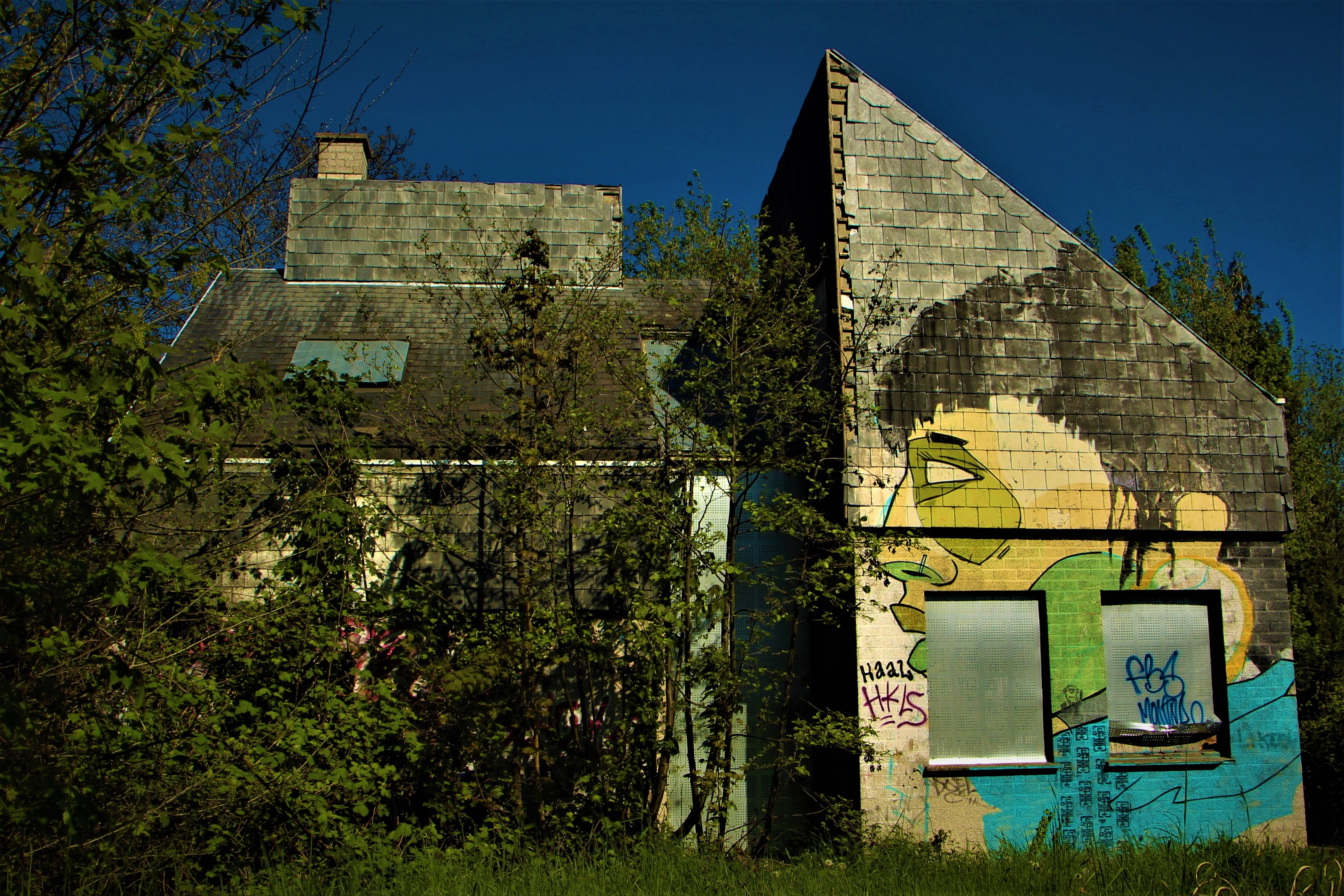 Graffiti murals adorn the sides of abandoned houses